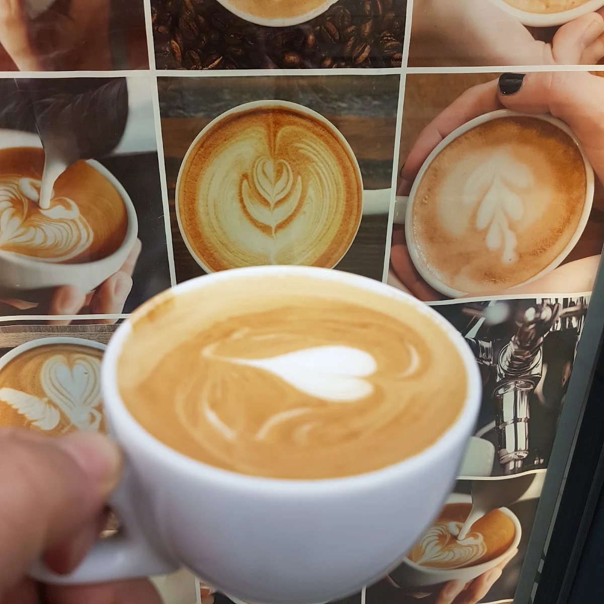 Coffee of the Day