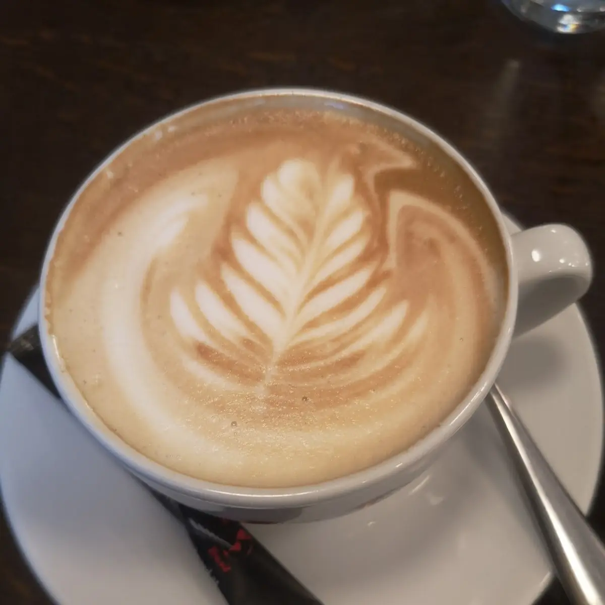 Capuccino