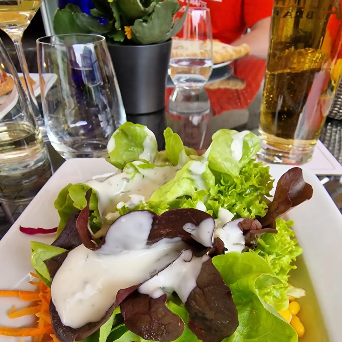 Insalata Musta