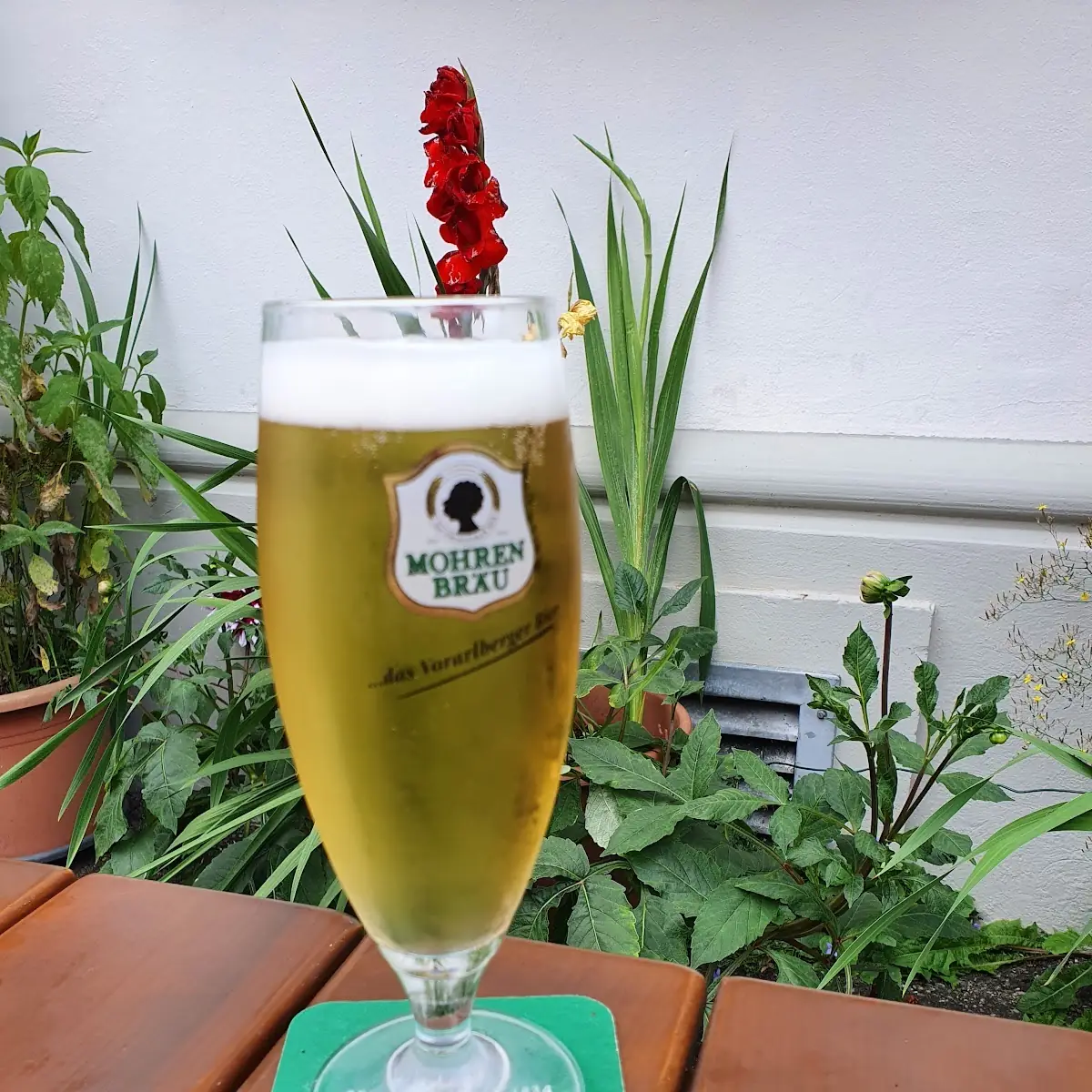 Mohrenbier