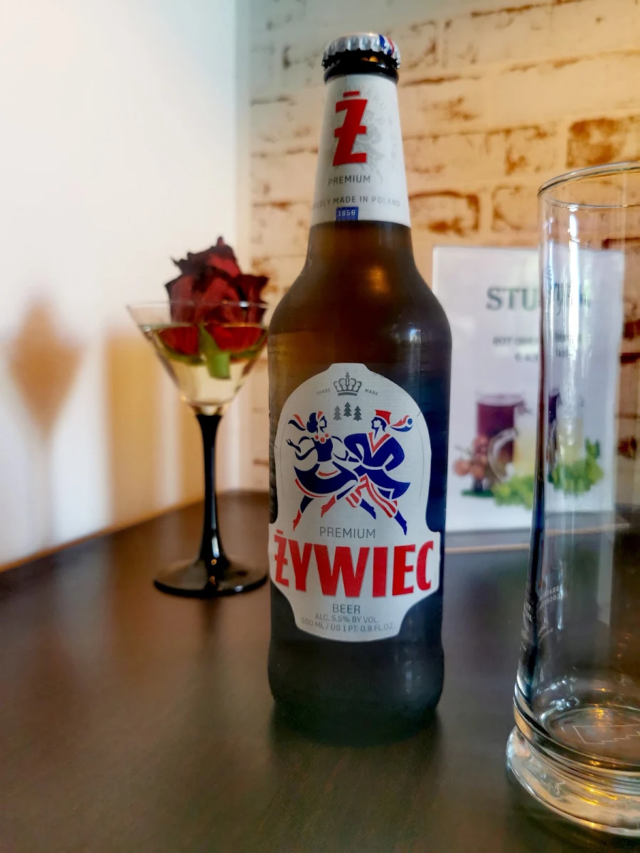 Żywiec Polnisches Bier 0 5l