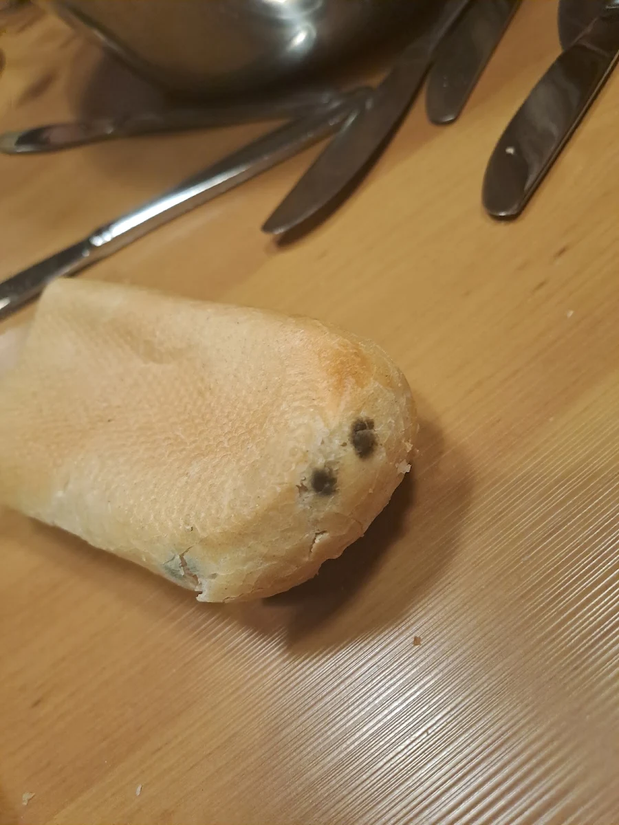 Verschimmeltes Brot