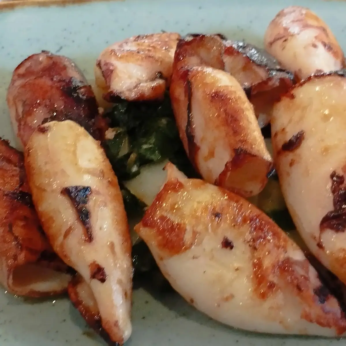 Calamari