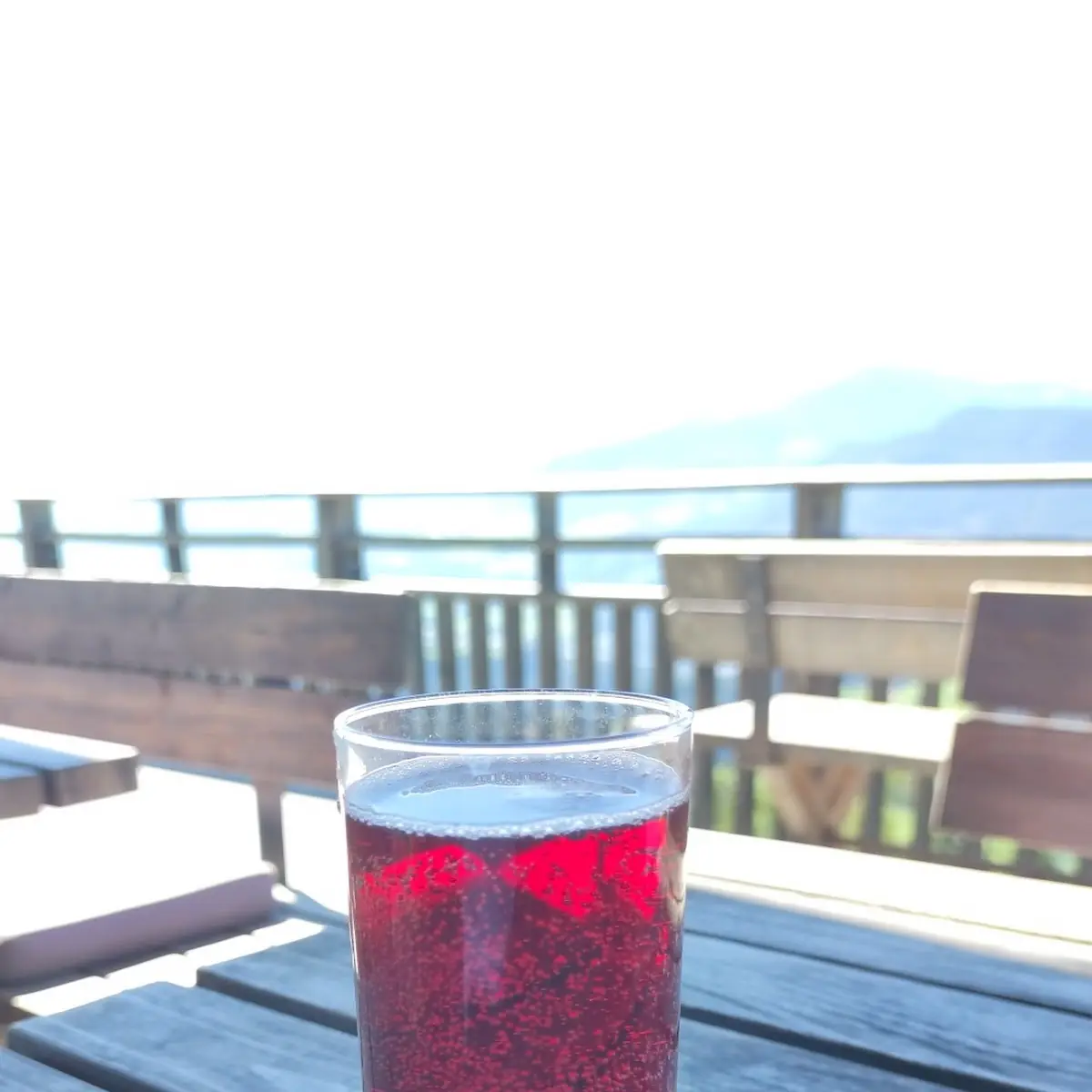 Johannisbeerschorle