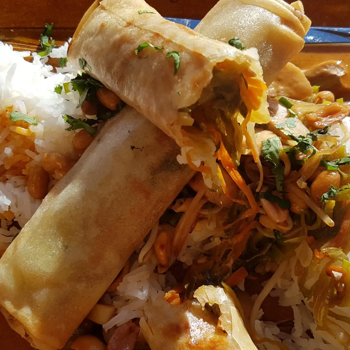 Vegetarische Frühlingsrollen