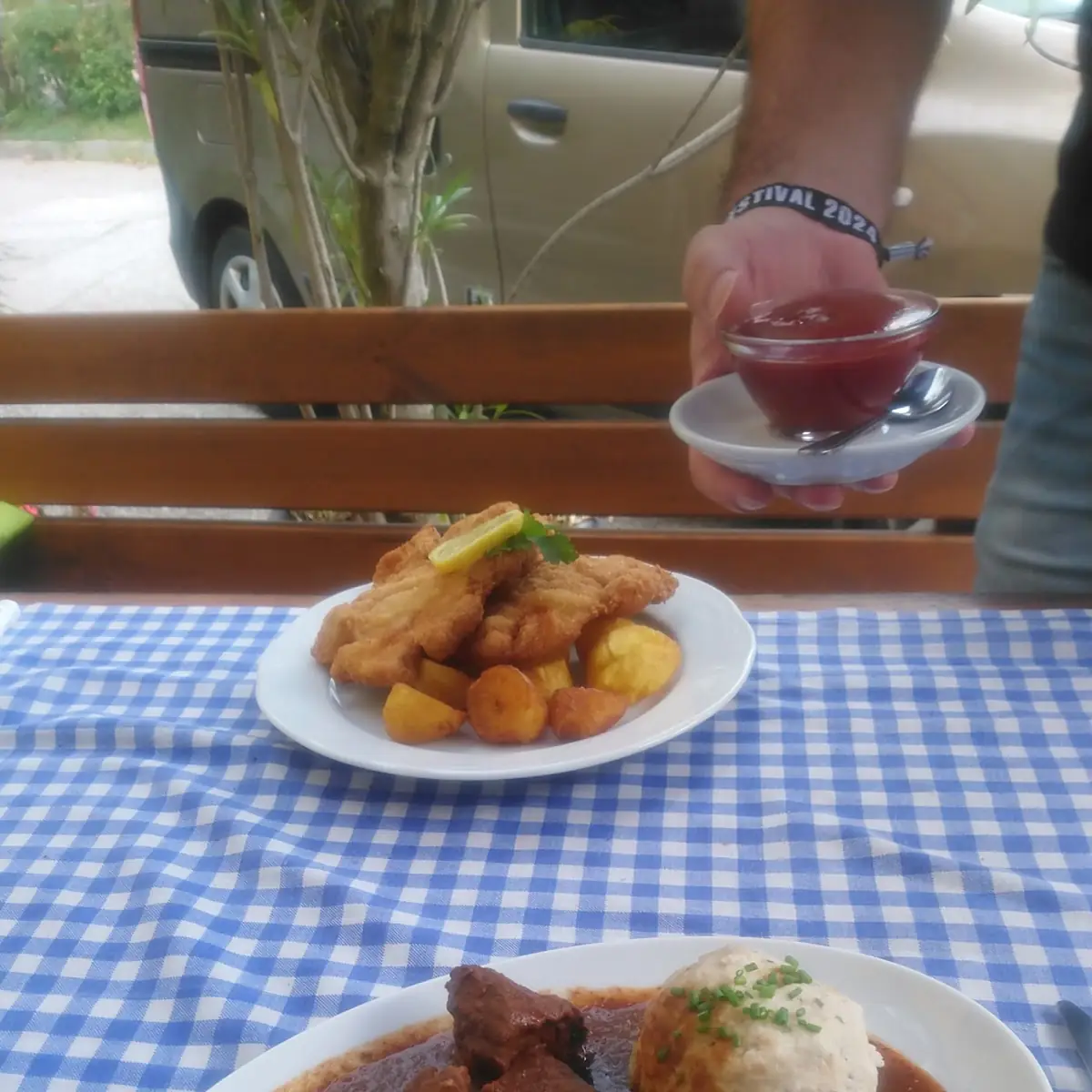 Rindsgulasch Mit Semmelknödel Vordergrund Und Ein Wieners