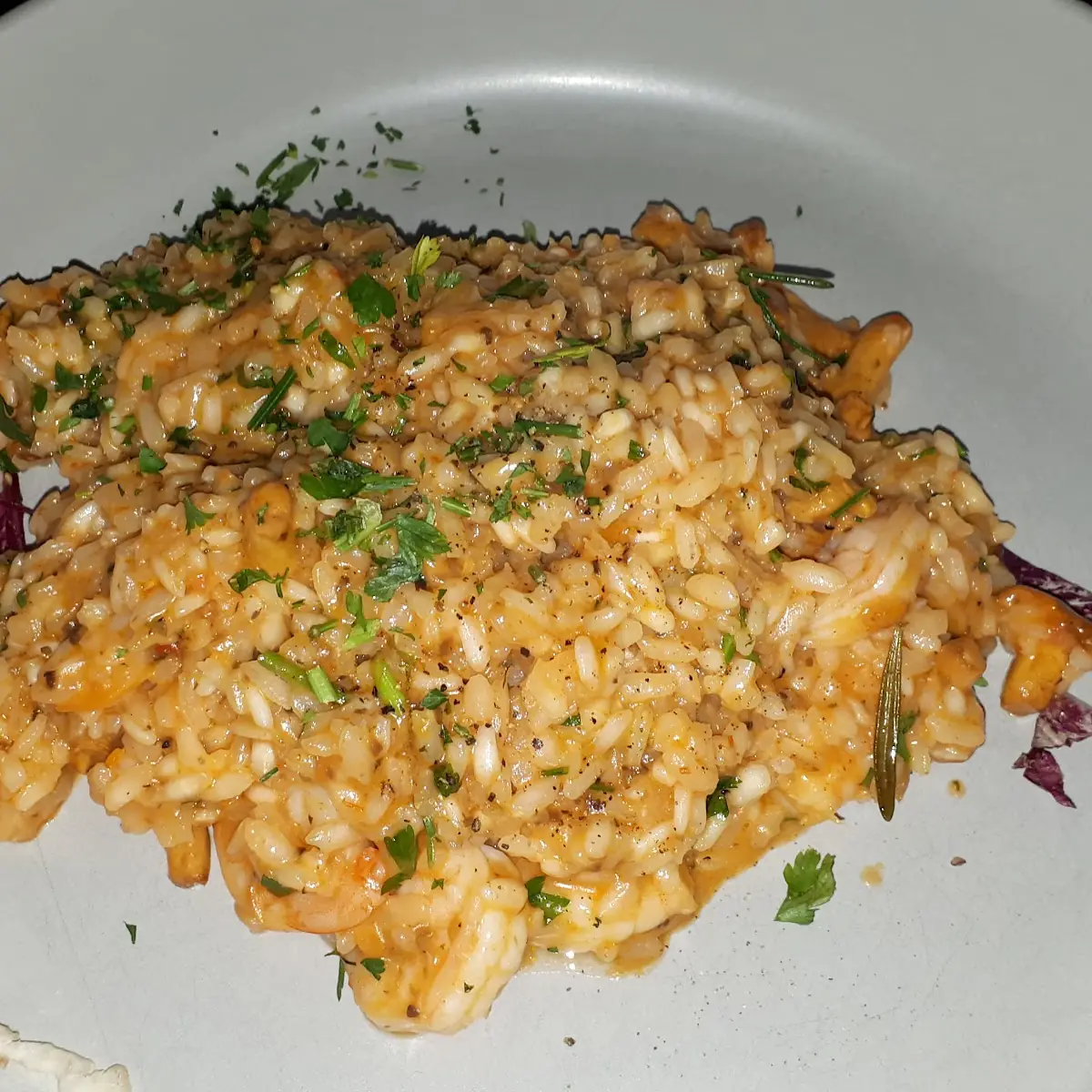 Risotto Shrimps Eierschwammerl