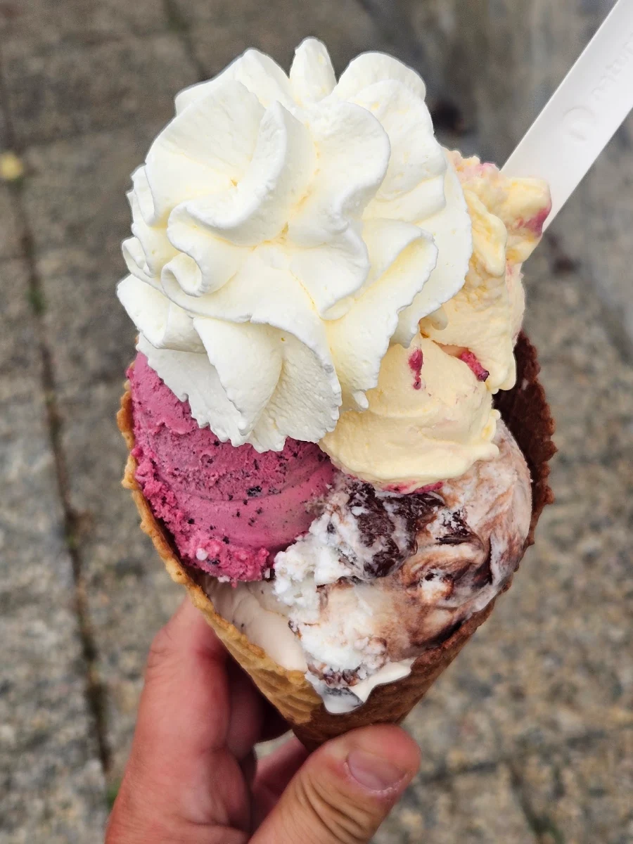 Eiskugel Sorte Orange-schoko Brombeeren Pino Pingione