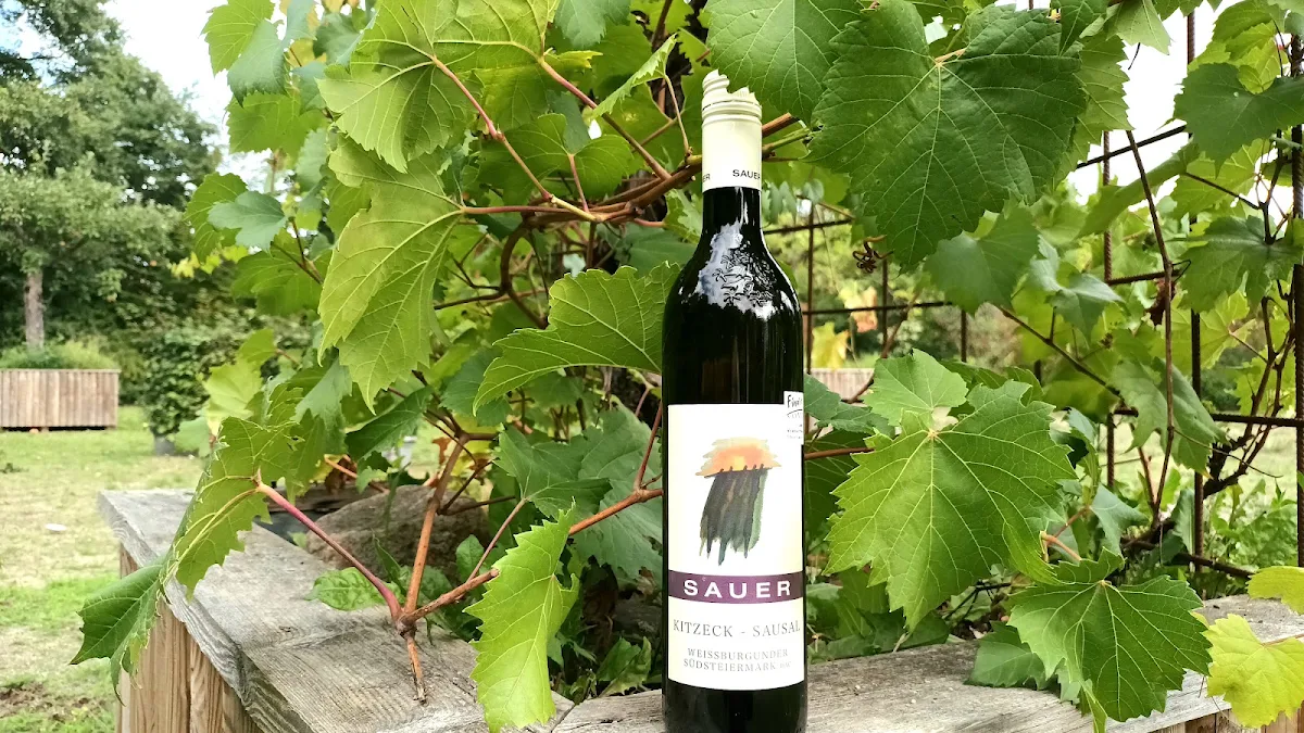 Top Weissburgunder Von Stefanie Sauer Gernewieder-wein Sagt Meindolcevita Com