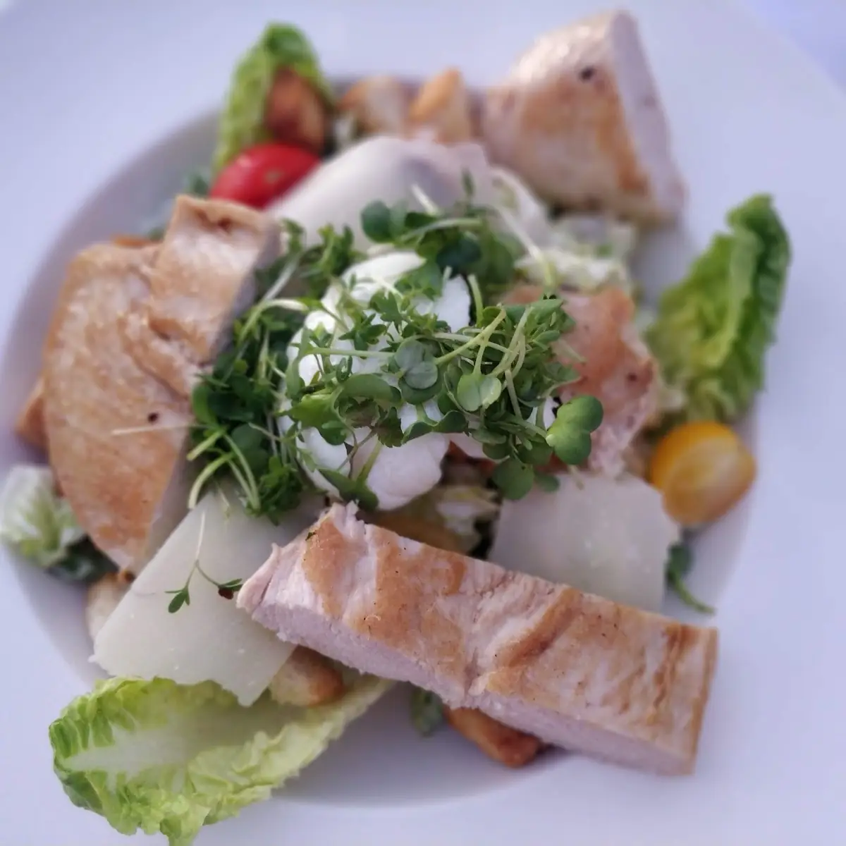 Ceasar Salad