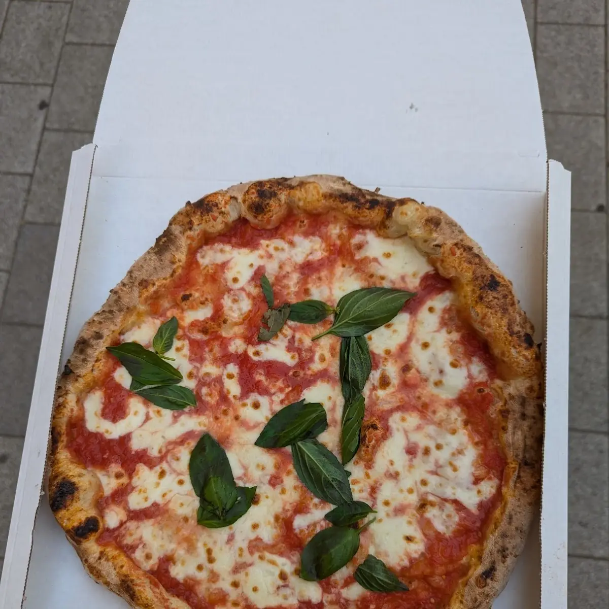 Pizza Margherita