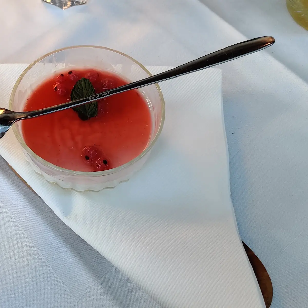 Panacotta Mit Johannisbeeren