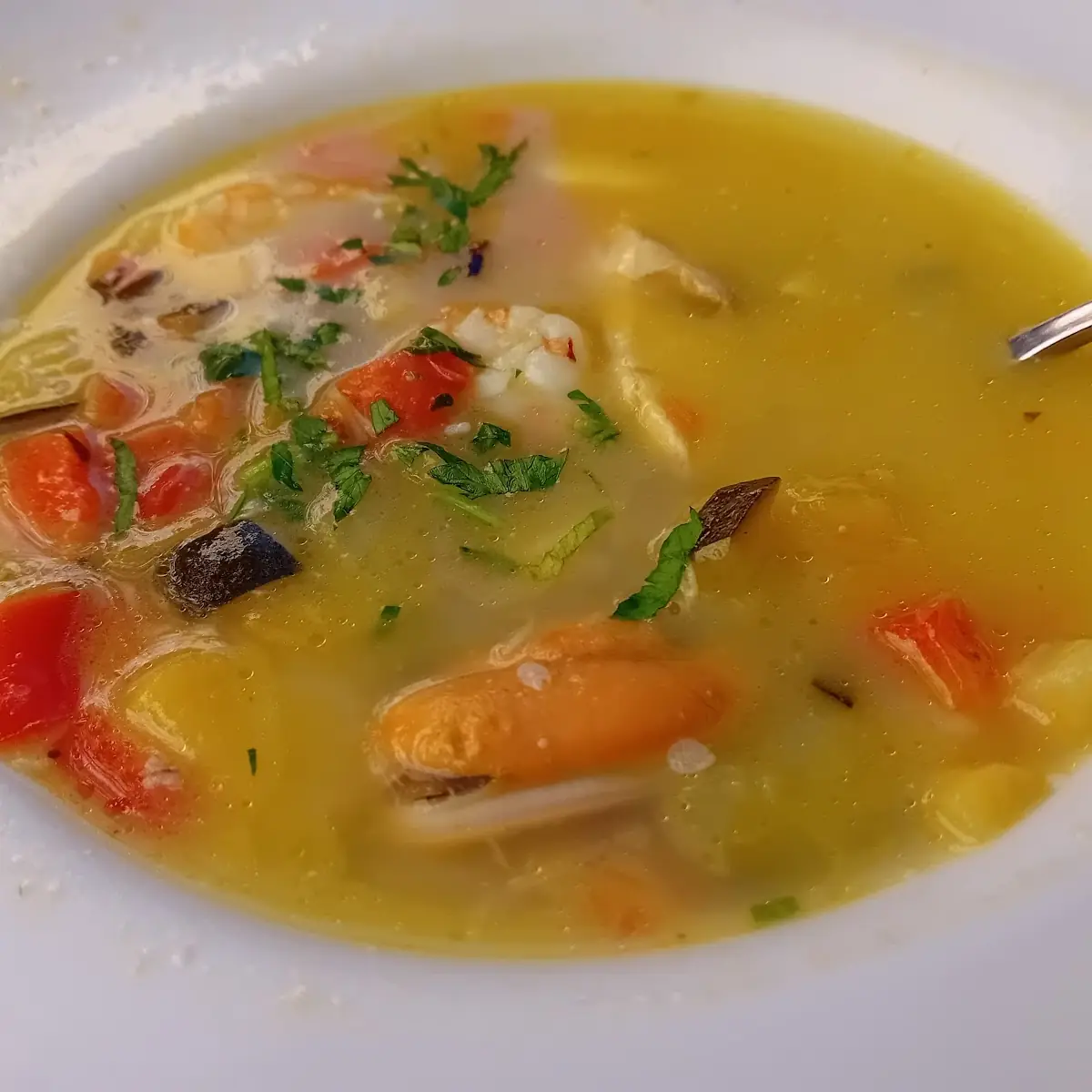 Fischsuppe