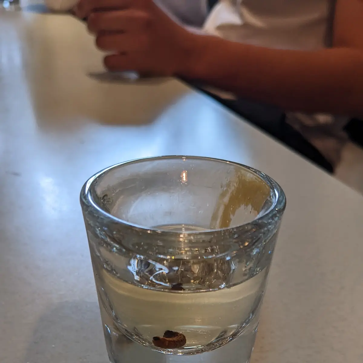 Mezcal Mit Wurm