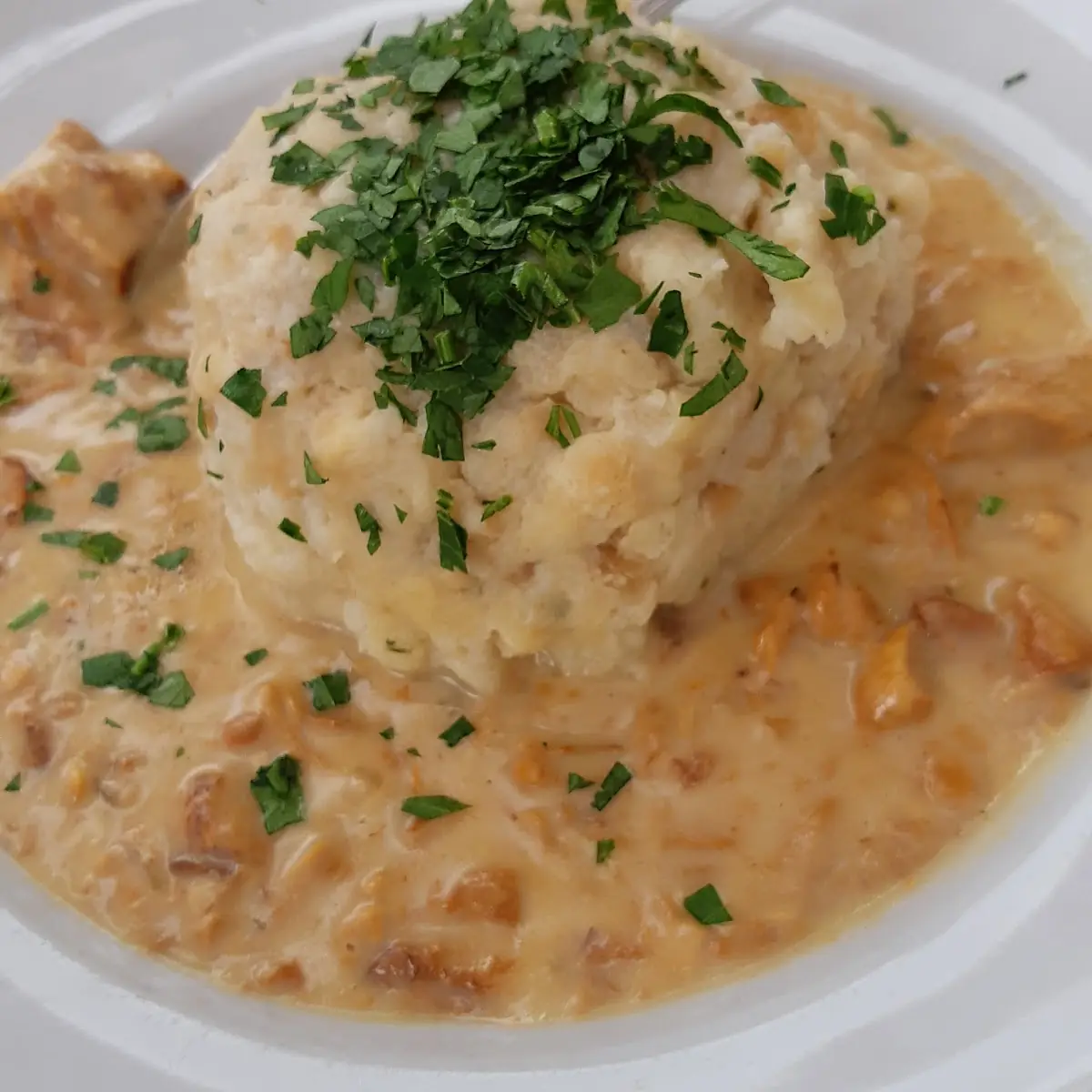 Eierschwammerlgulasch Mit Knödel