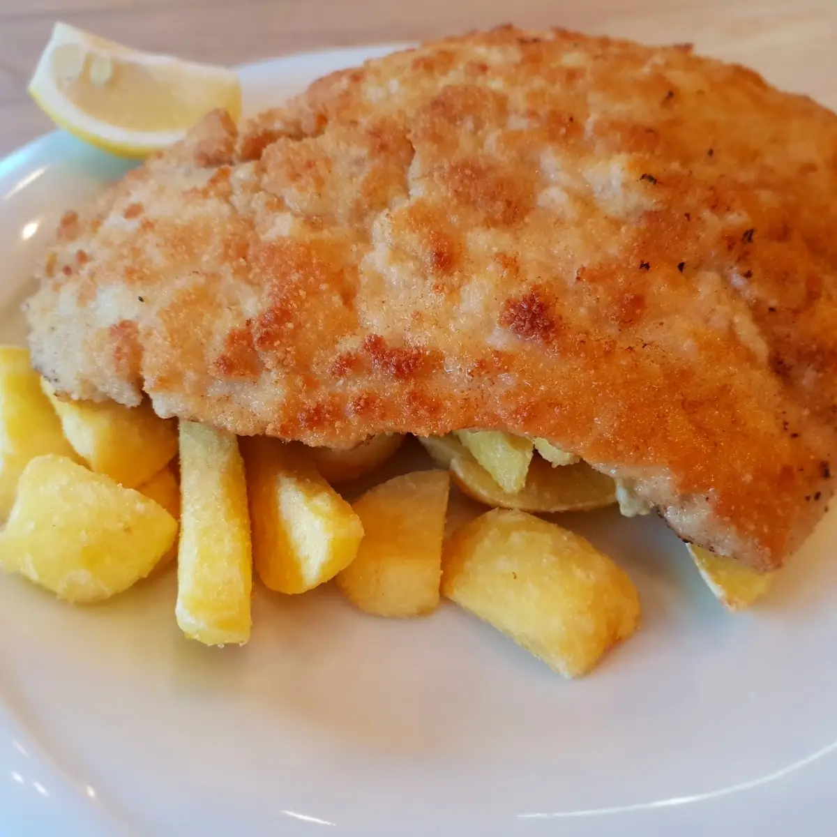 Highlight 8