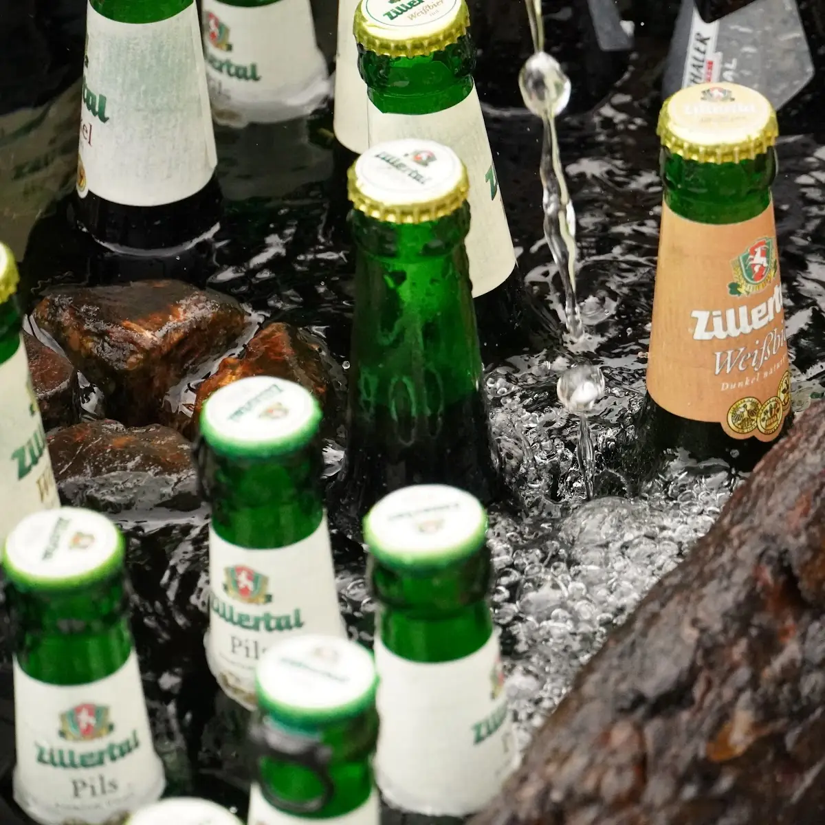Bier