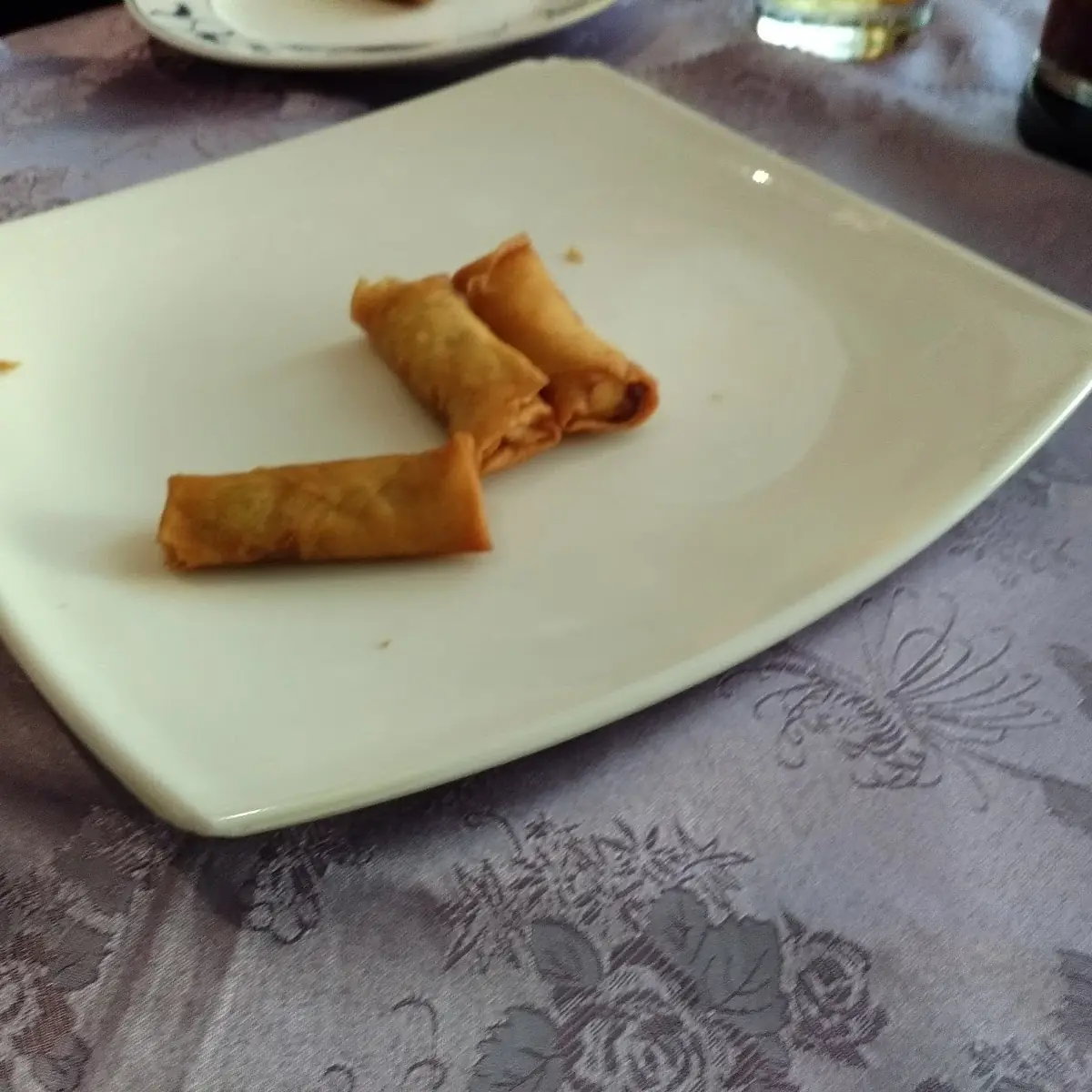 5kleibe Frühlingsrollen