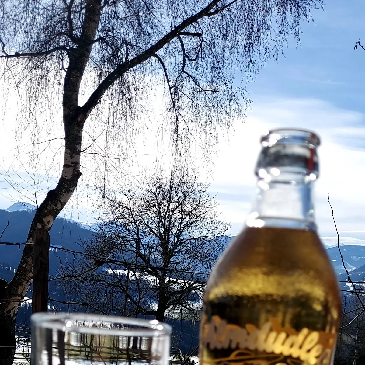 Almtutler