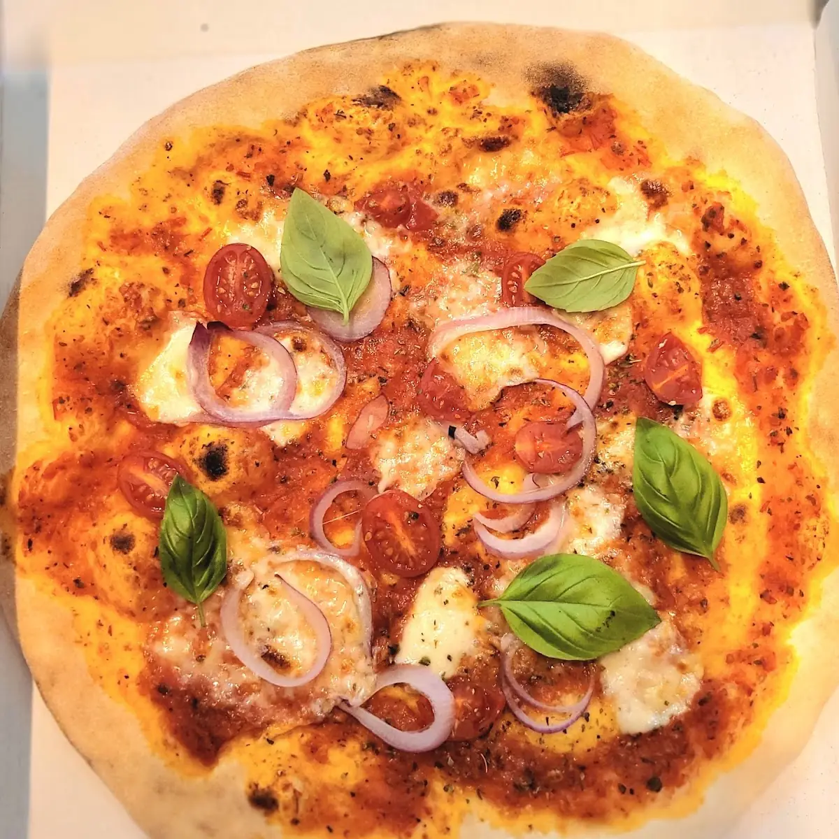 Pizza Mozzarela Mit Zwiebeln
