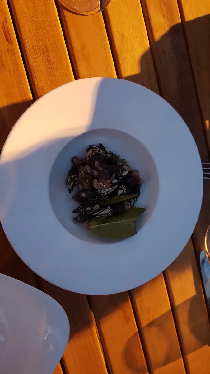 Pfahlmuscheln