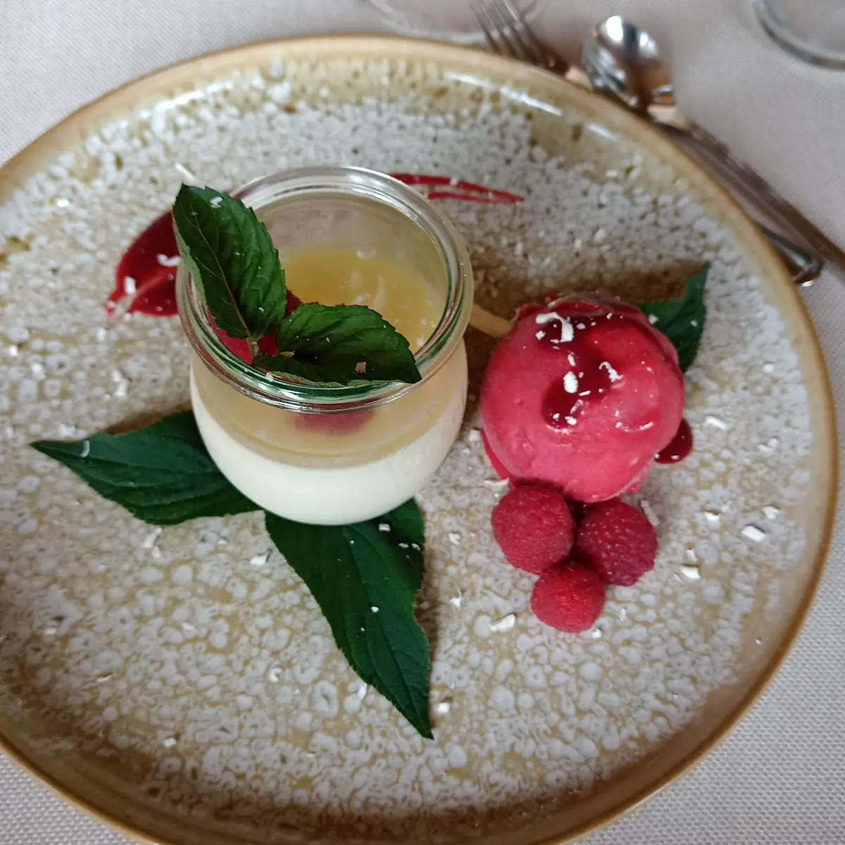 Holunder Buttermilch Panna Cotta Mi Himbeer Sorbet