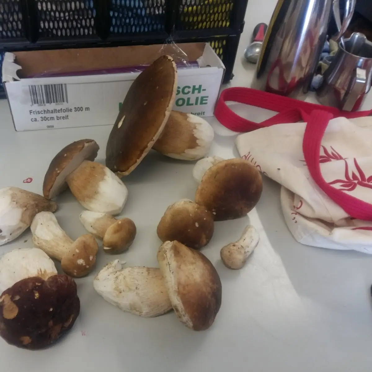Gebackene Steinpilze
