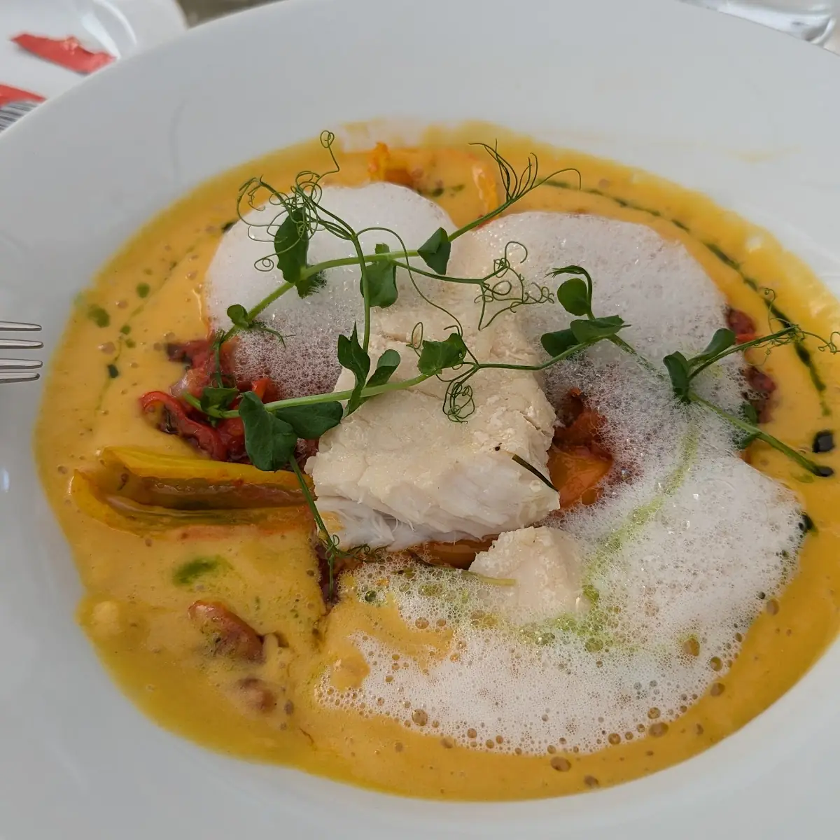 Welsfilet Vom Neusiedler See