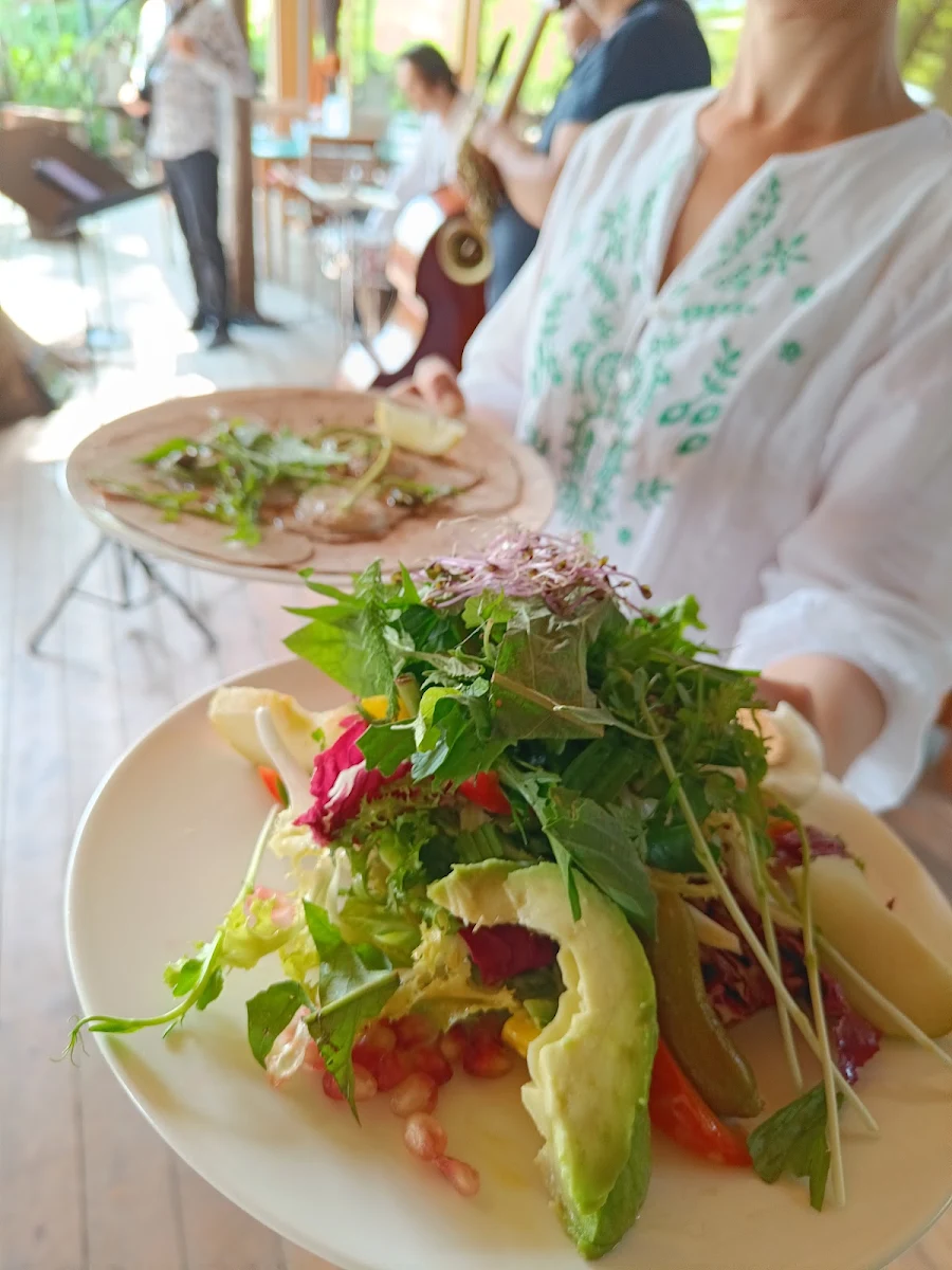Wildkräuter Salat & Vitello Pescato