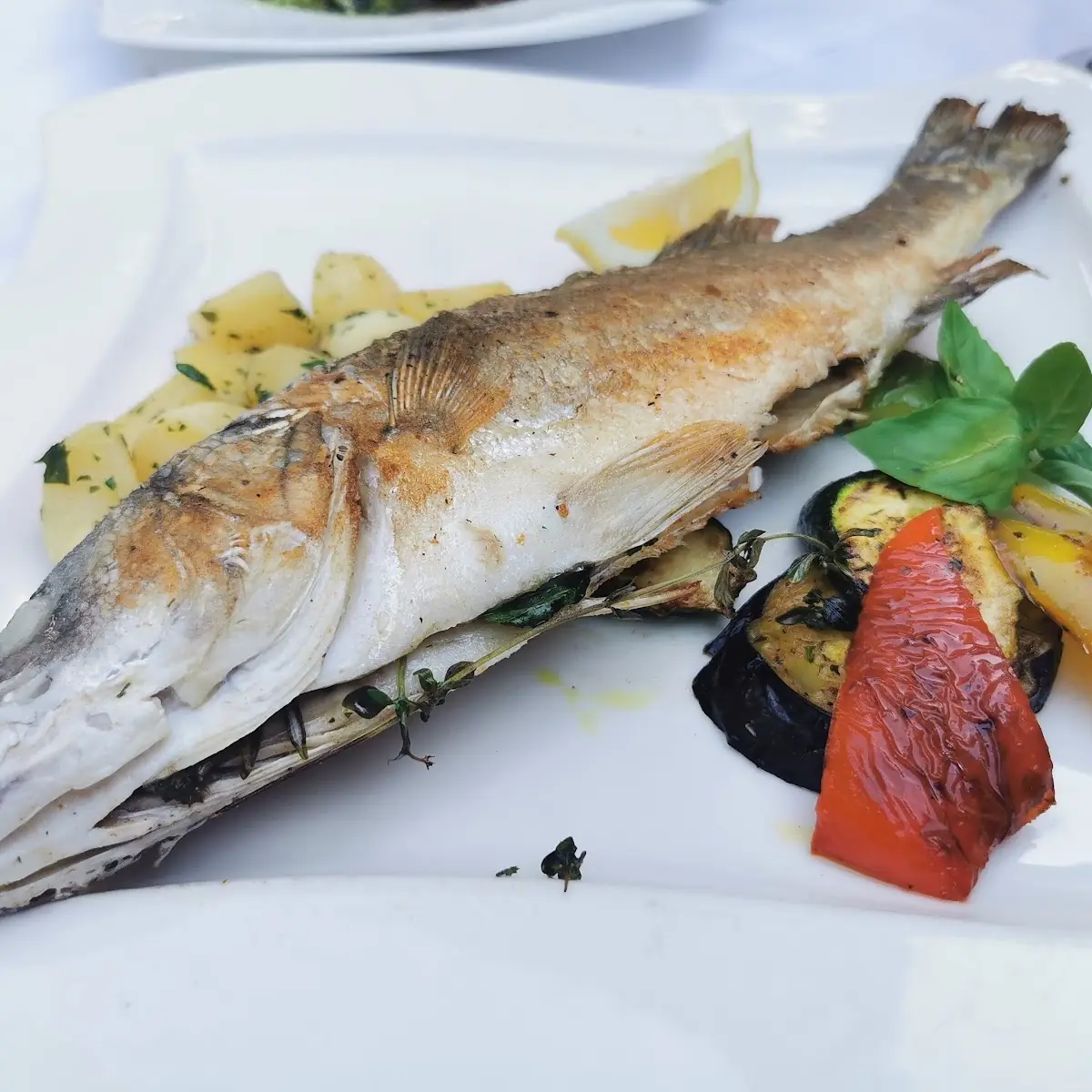 Fisch
