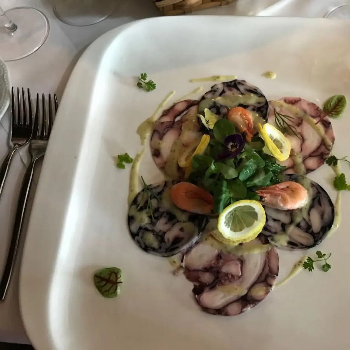 Octupus