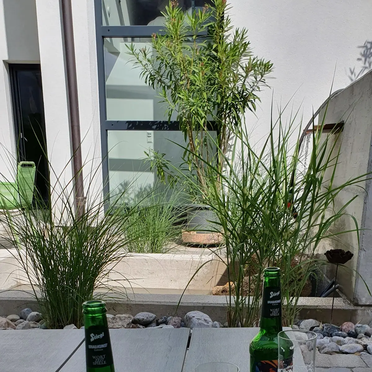 Bier
