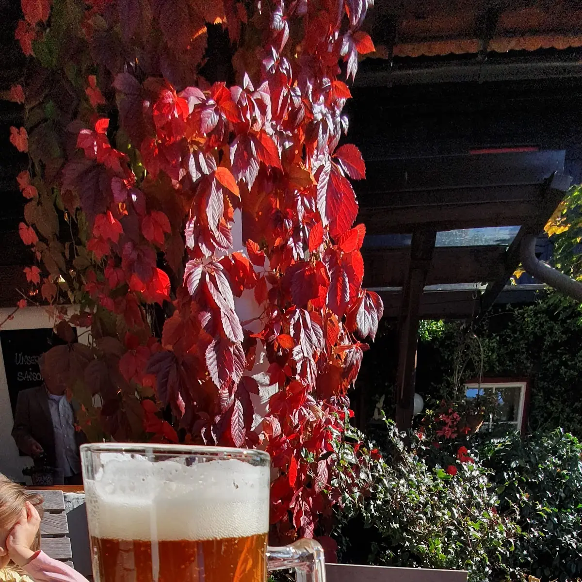 Erwin Bier