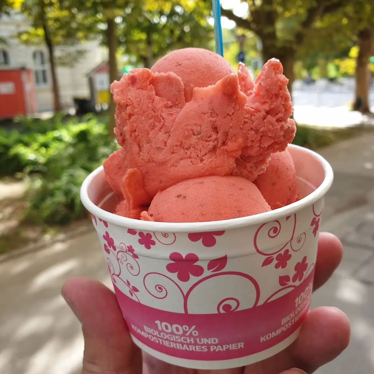 Erdbeereis Vegan