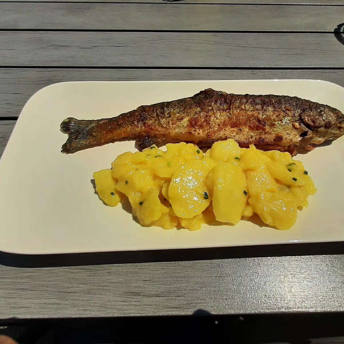 Forelle Gebraten Mit Kartoffelsalat