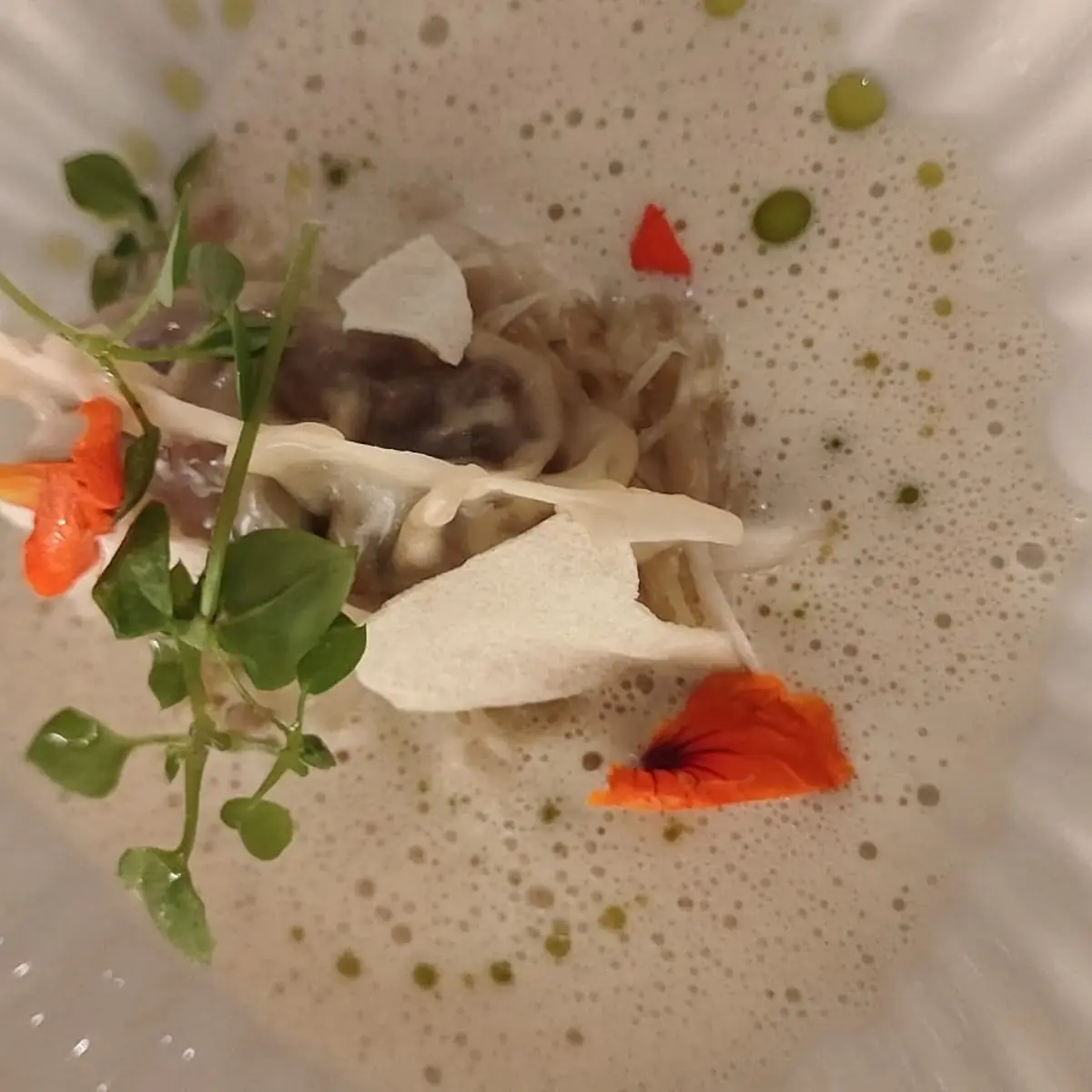 Gyoza-spitzkraut-grammeln-braune Butter
