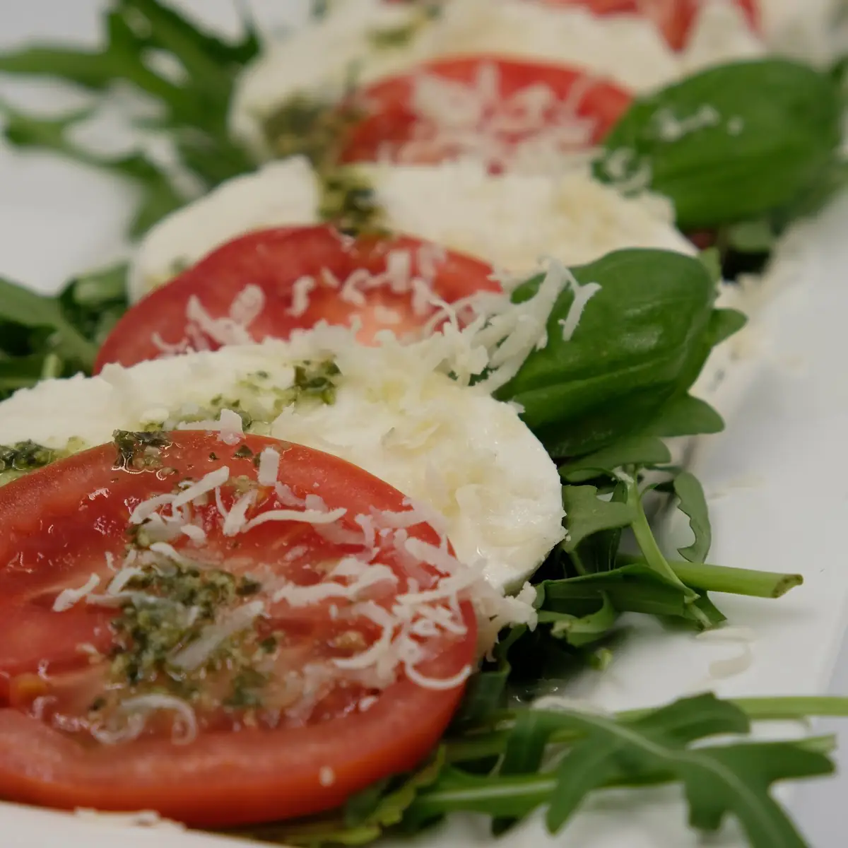 Rucola