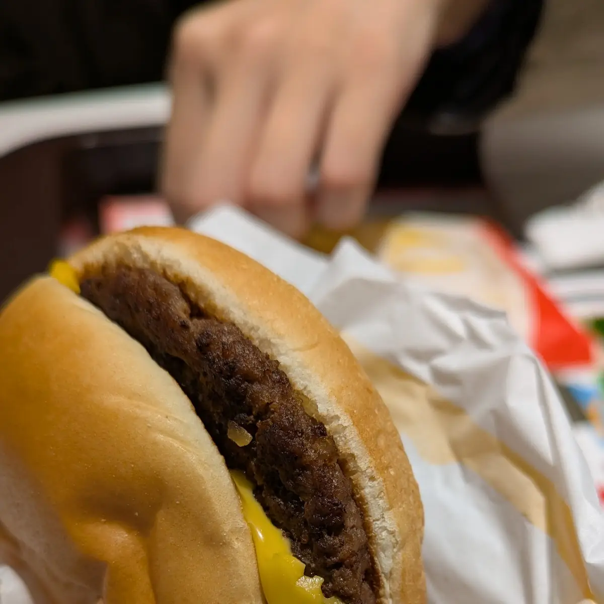 Double Cheeseburger