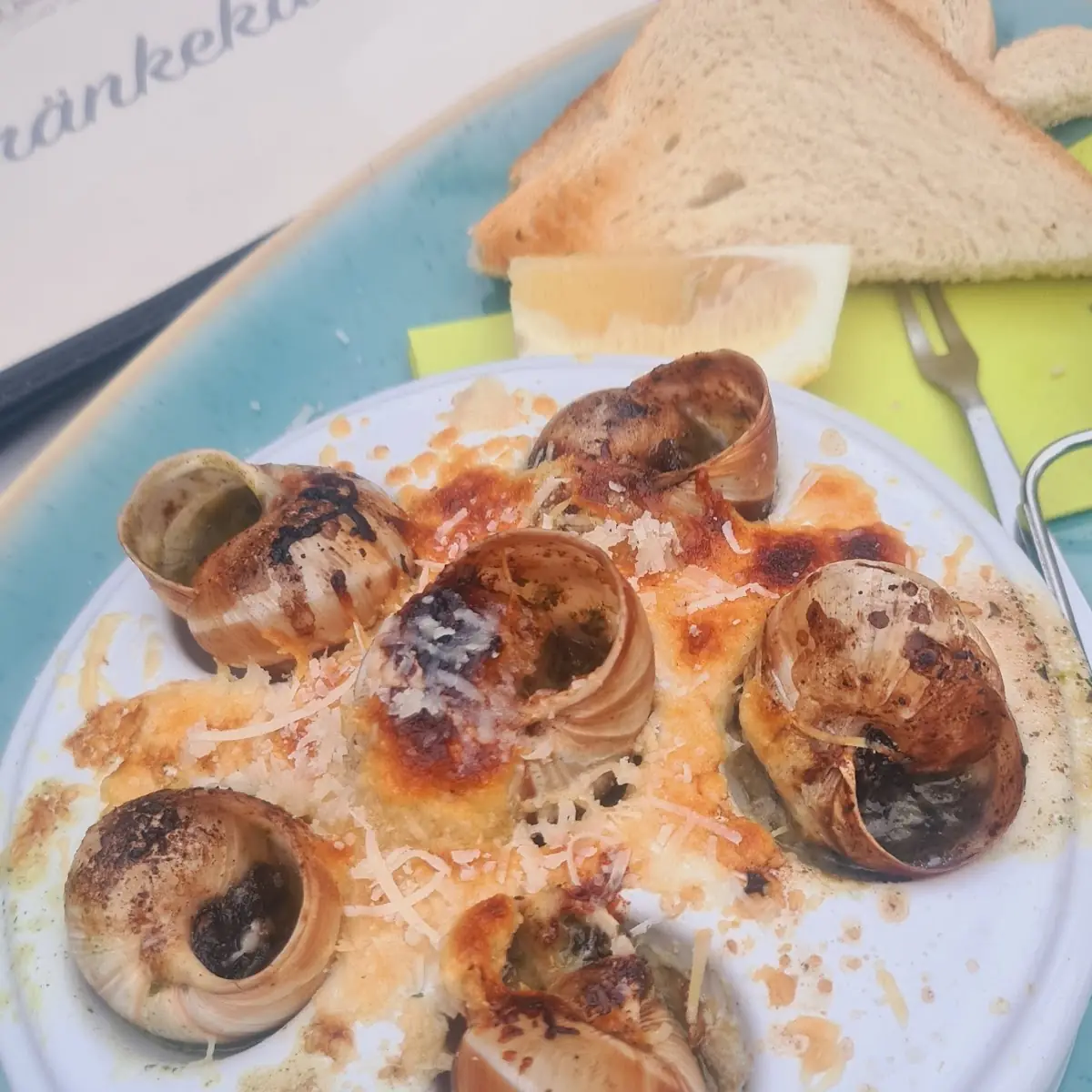 Schnecken