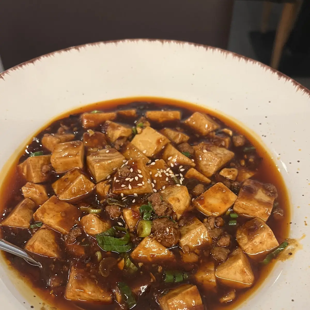 Mapo Tofu with Pork