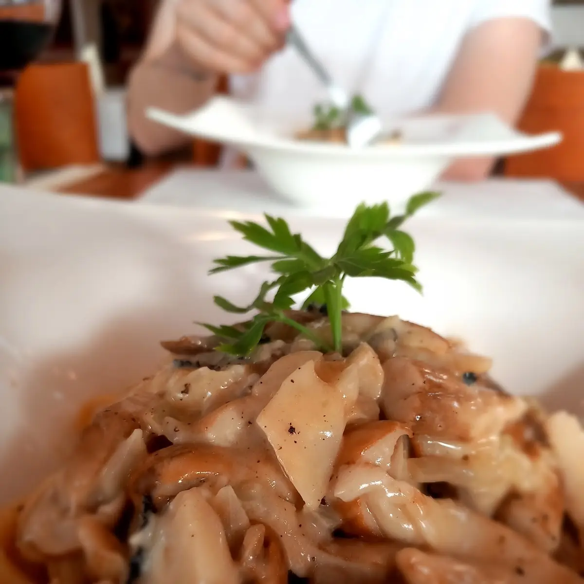 Tagliatelle A La Funghi Porcini E Tartufo