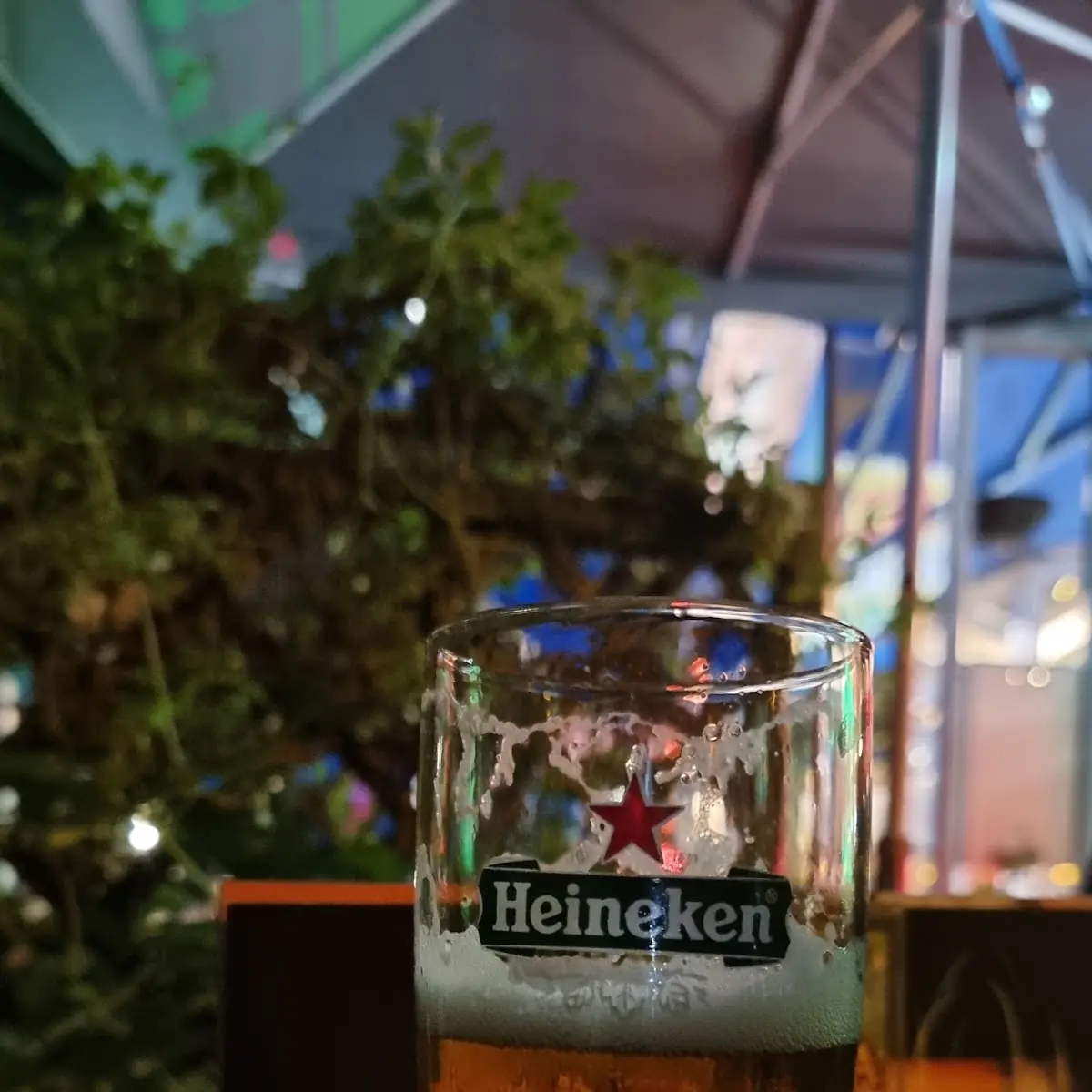 Bier