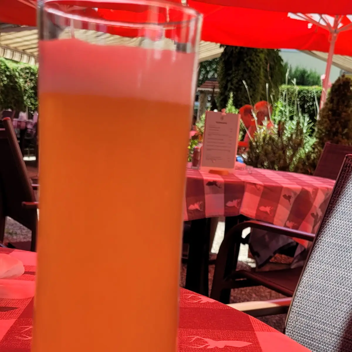 Salat Mit Zander