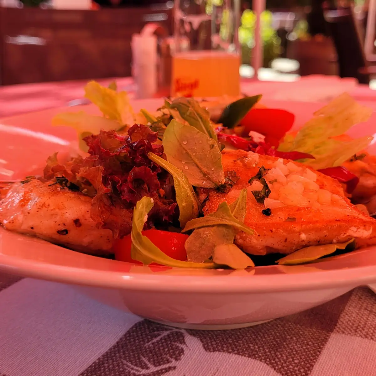 Salat Mit Zanderfilet