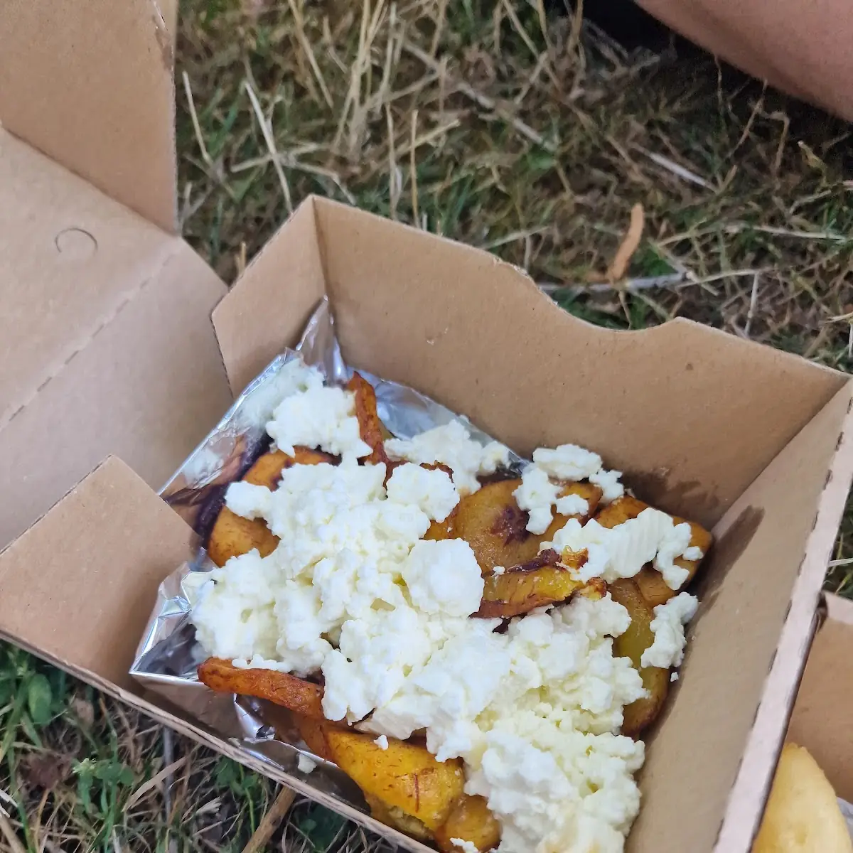 Plantains