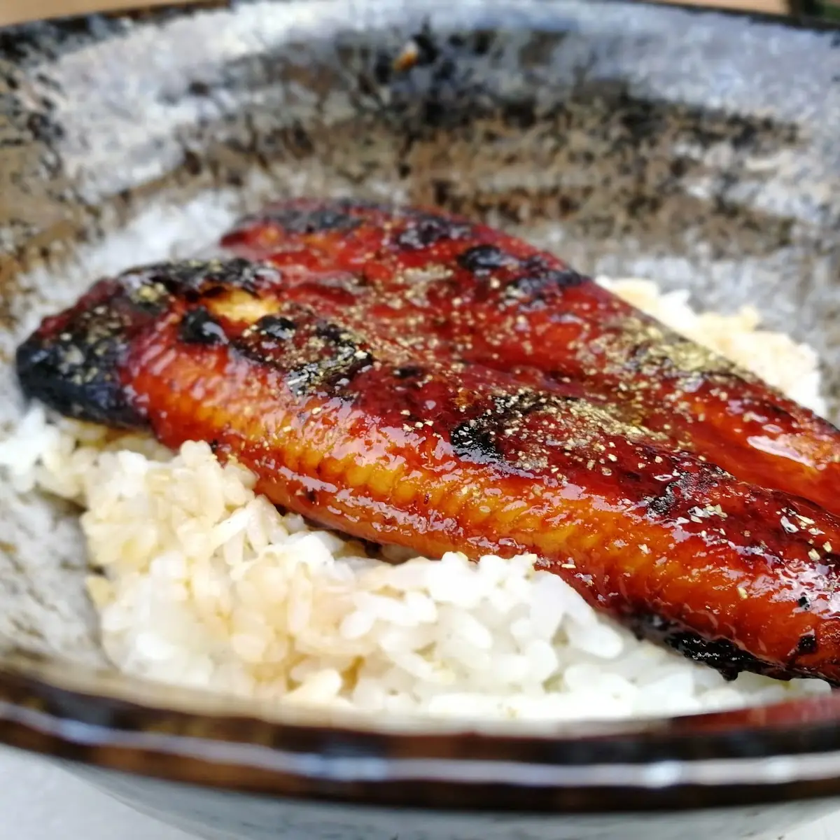 Unagi Don