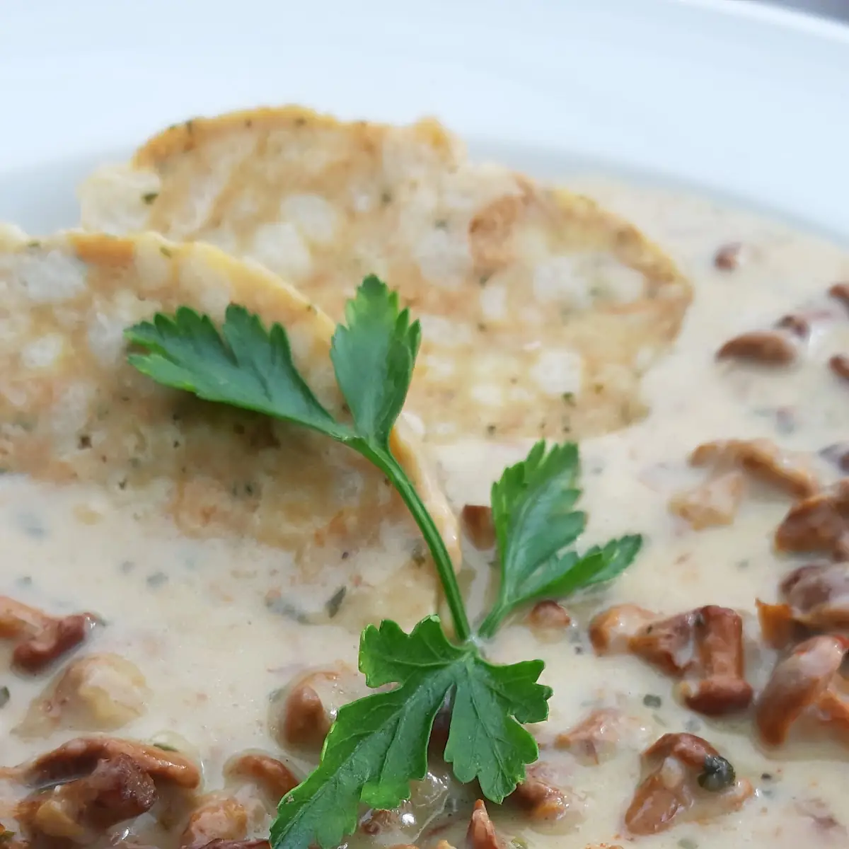 Eierschwammerlragout