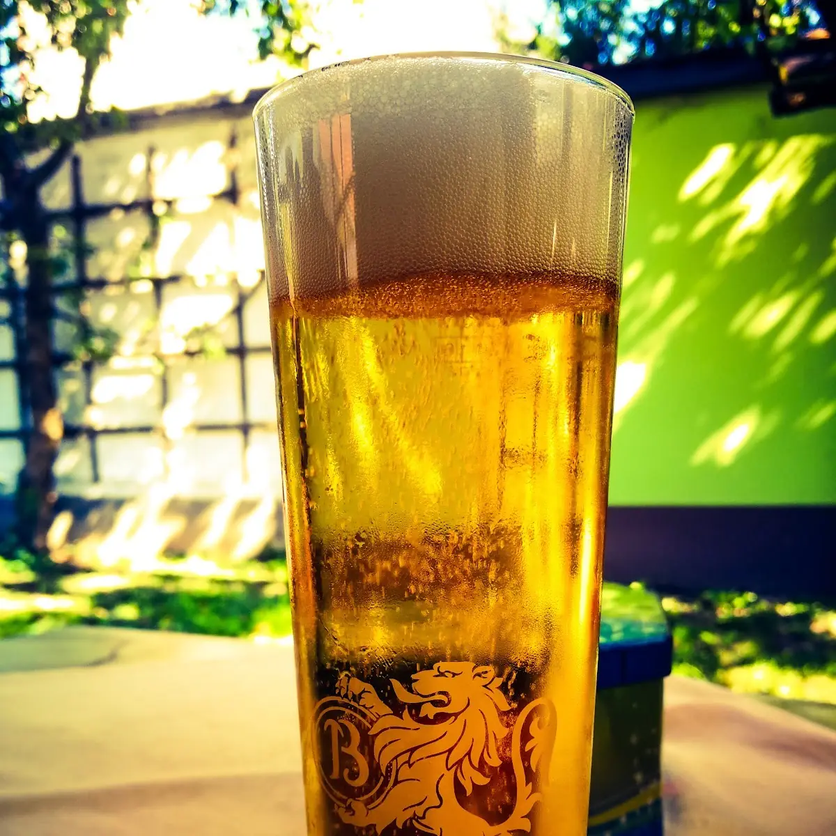 Bier