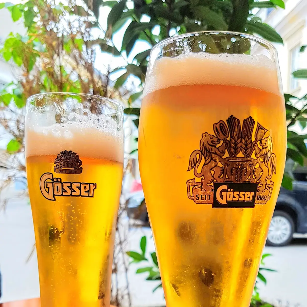 Herrliches Gösser Bier