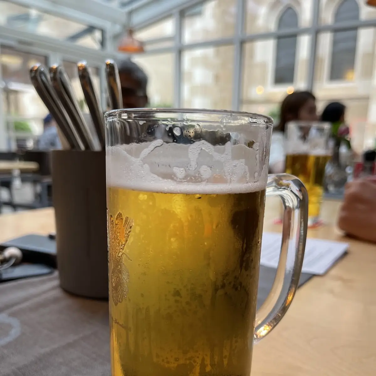 Hauser Bier